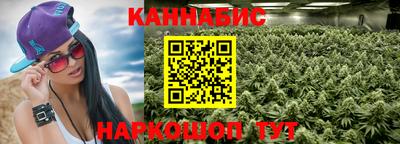 гидра Заводоуковск