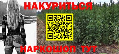 гидра Заводоуковск